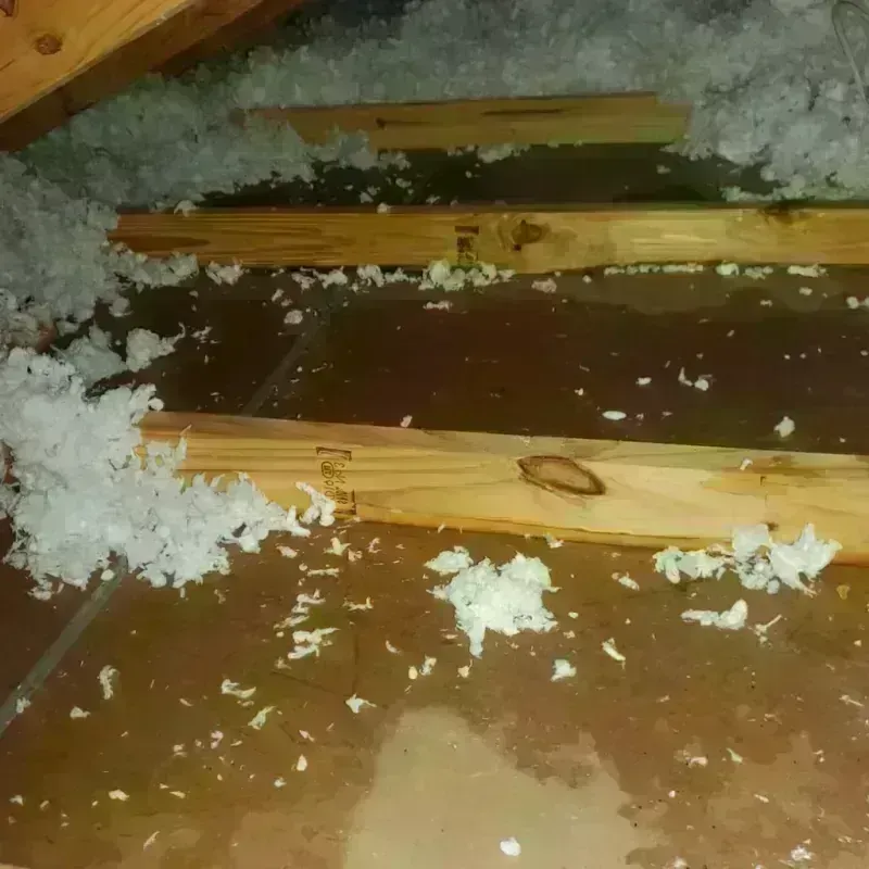 Attic Water Damage in Coos Bay, OR