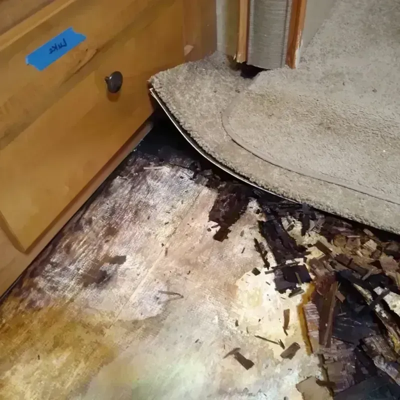 Best Wood Floor Water Damage Service in Coos Bay, OR